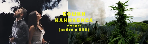 бутират Богданович