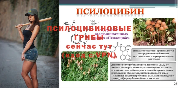 бутират Богданович